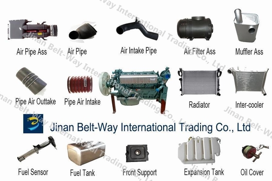 HOWO Weichai Shacman Koplama Ana Silindir Wg9719230013 Destek Ödemesi ABD Doları ve OEM
