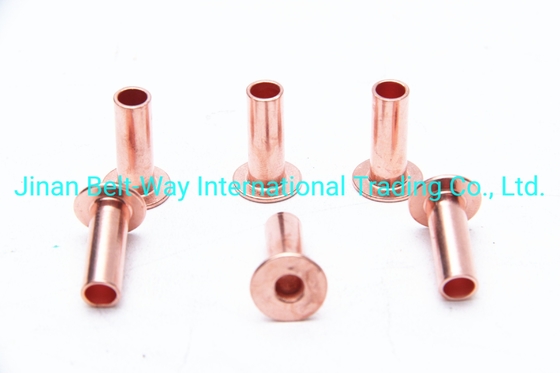 Sinotruk HOWO Kamyon Parçaları Fren Döşeme Rivet Wg9231340068 Standart ve Sabit 10*22mm