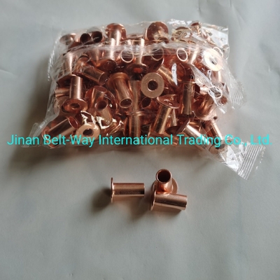 Sinotruk HOWO Kamyon Parçaları Fren Döşeme Rivet Wg9231340068 Standart ve Sabit 10*22mm