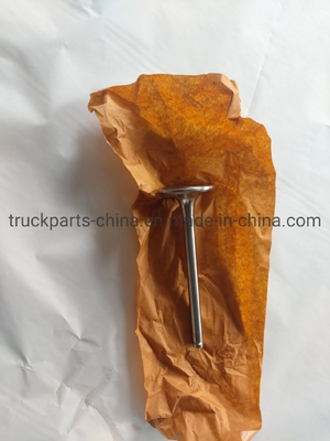 Sinotruk HOWO Kamyon Motoru Parçaları Vg1560051001 Güney Asya Pazarı için Giriş Valfi