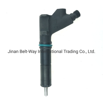 Motor Parçası için Özel Yakıt Enjeksiyonu VG1246080036 OEM Vg1246080036GarantiT1 Yıl