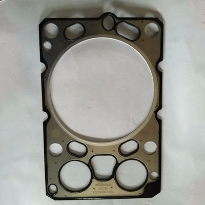 0.300kg Brüt Ağırlık Vg1246040021 Sinotruk HOWO Motor Parçaları için Silindir Başı Gasketi