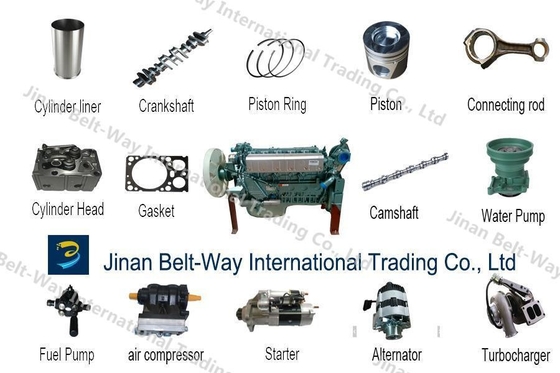 Shacman Sinotruk HOWO Motor Filtresi yedek parçaları uygun fiyata
