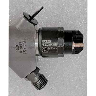 0445120343 Weichai Power Wp12 Motoru için Dizel Common Rail Enjektor