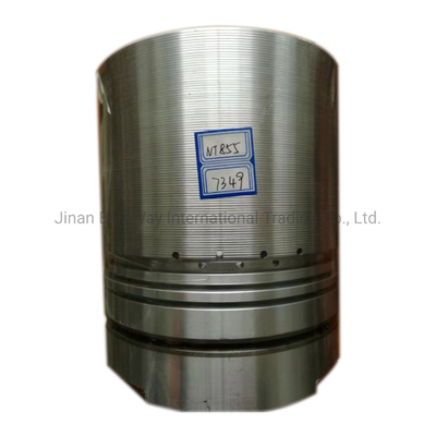 3017349 Deniz Motoru Dizel Motoru Nt855 Jeneratör yedek parçaları Çevrimiçi Destekle Piston
