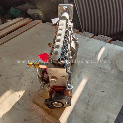 Orijinal Sinotruk Wd615 Motor Parçaları Enjeksiyon Pompası Vg1560080022 Shacman F3000 için